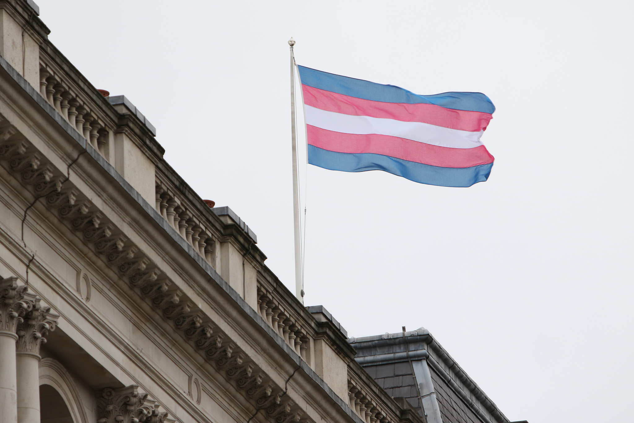 Trans flag