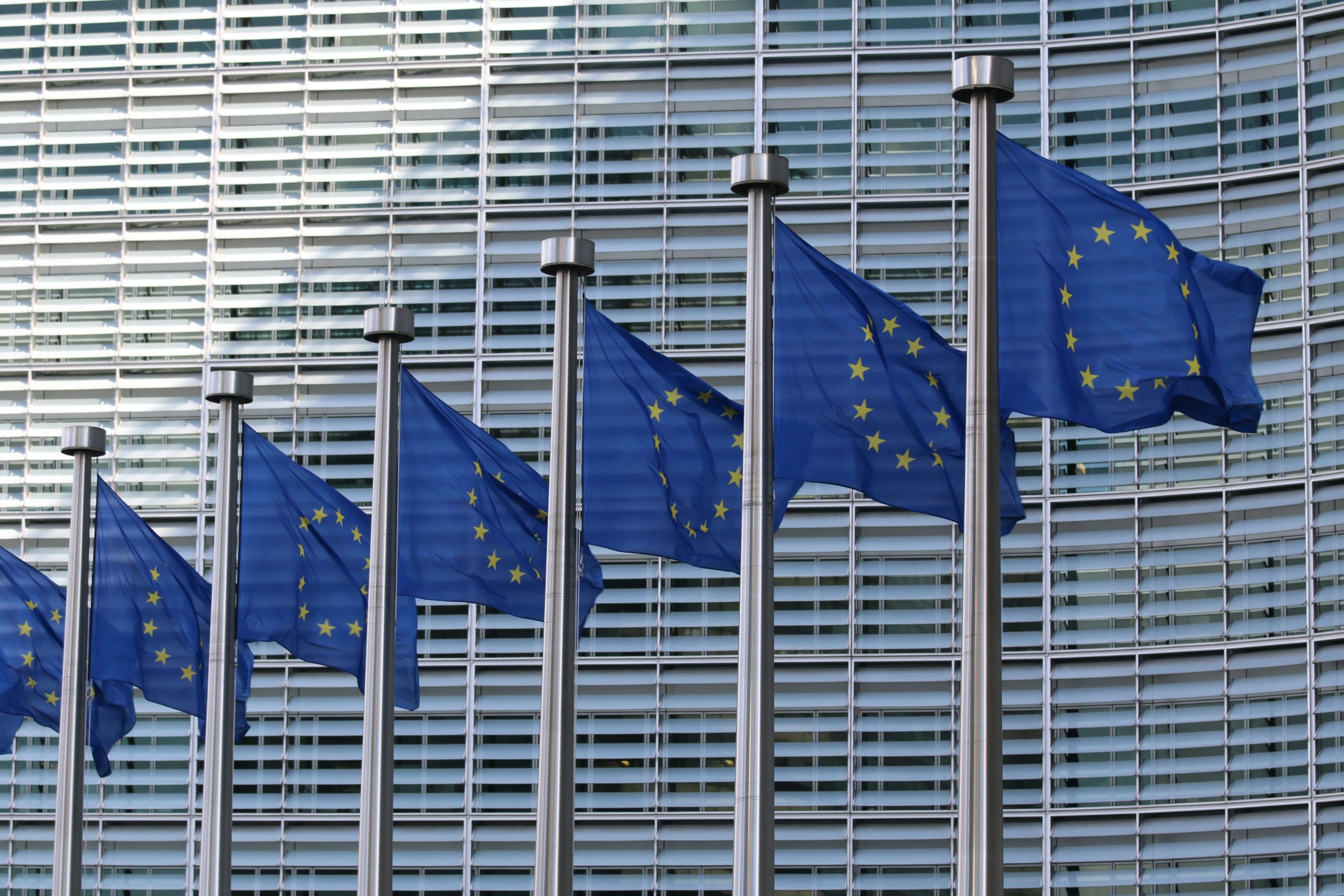 A row of EU flags