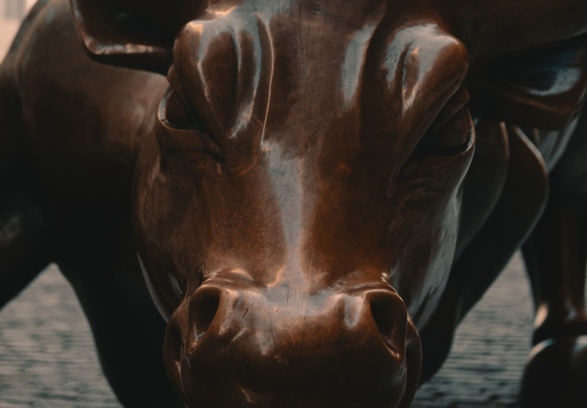 Close up of Wall Street Bull statue